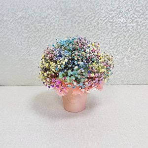 tsvetnaya-gipsofila-v-stakane